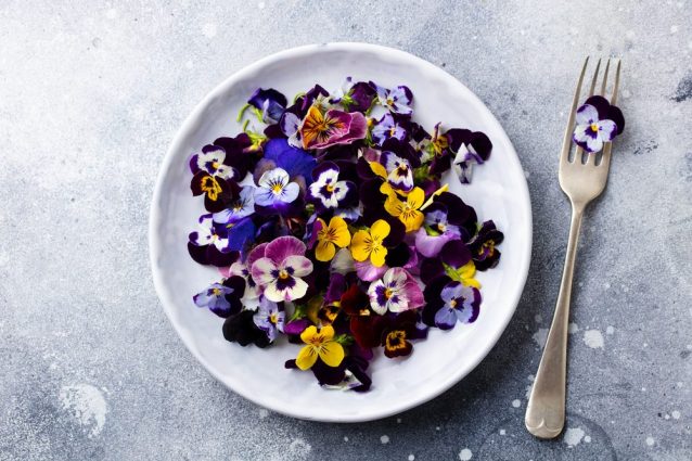 Fiori edibili: 5 varietà da scoprire per arricchire i vostri piatti