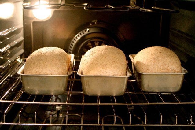 Lievitazione Casalinga Dove E Come Far Lievitare Il Pane Per Avere Un Prodotto Perfetto
