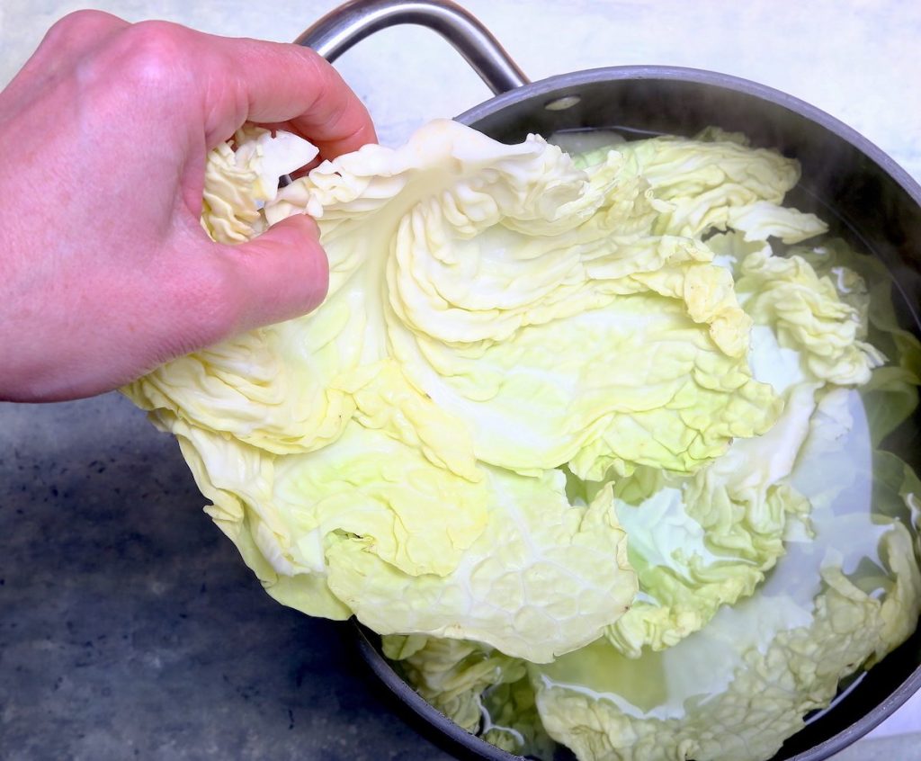 1_lasagna verza_cottura verza © Gooduria lab