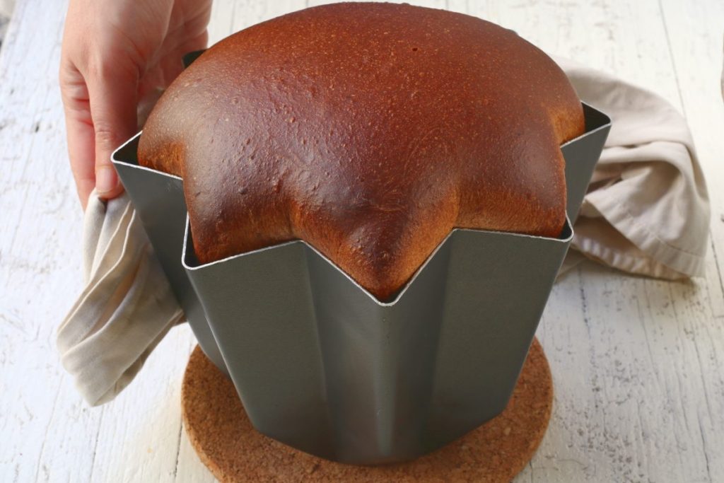 sfornare il pandoro