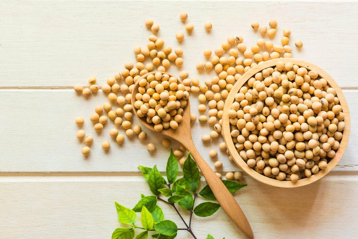 farina di soia: cos'è e come si utilizza