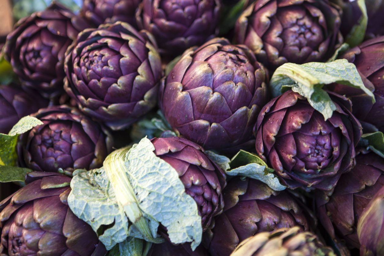 varietà carciofi
