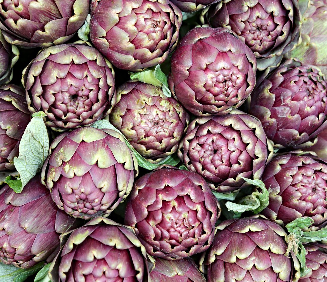 varietà carciofi