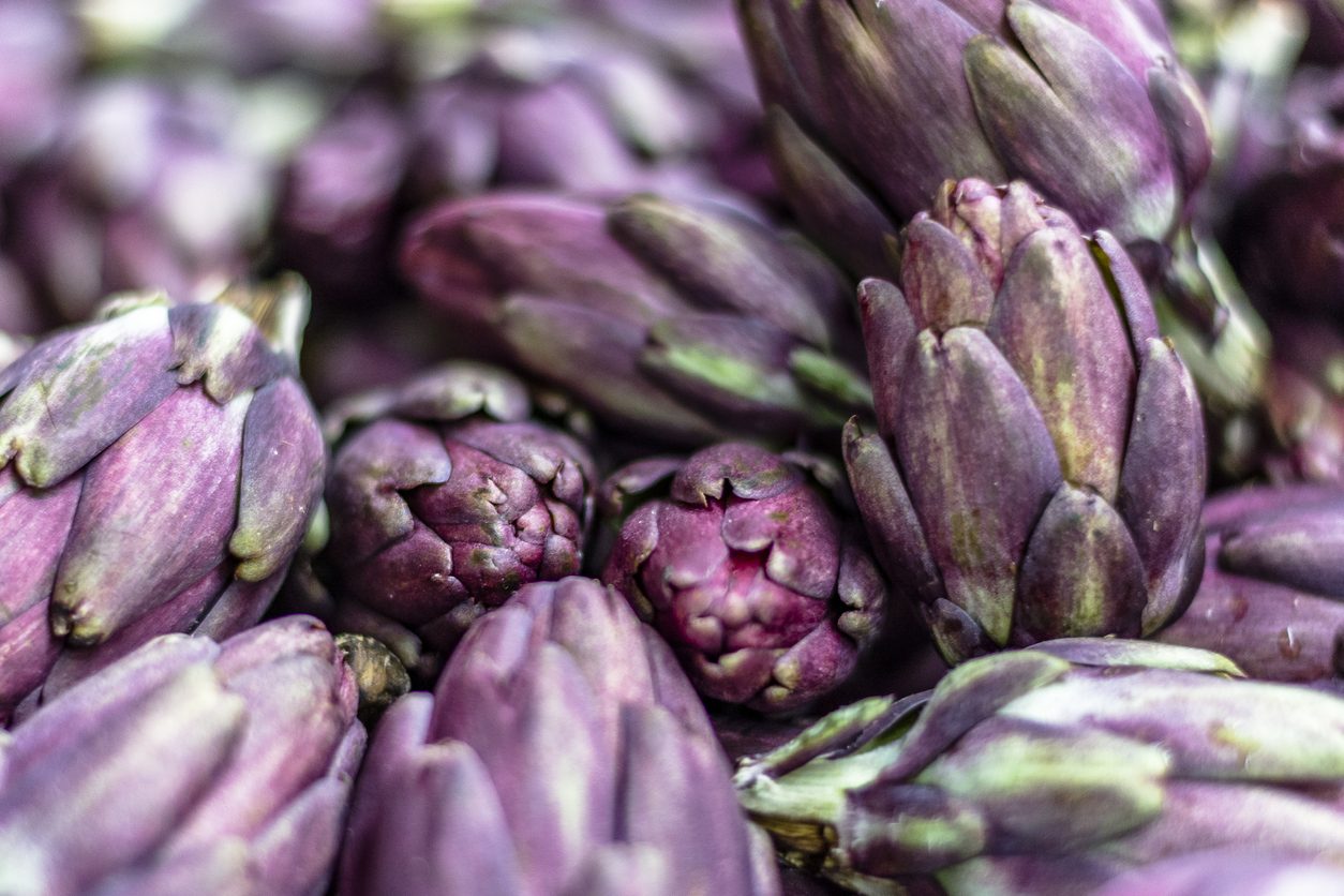 varietà carciofi