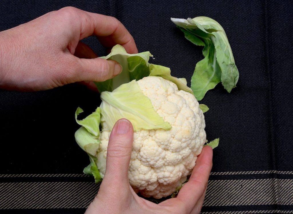 1_mondare il cavolfiore_cavolfiore arrosto©Gooduria lab