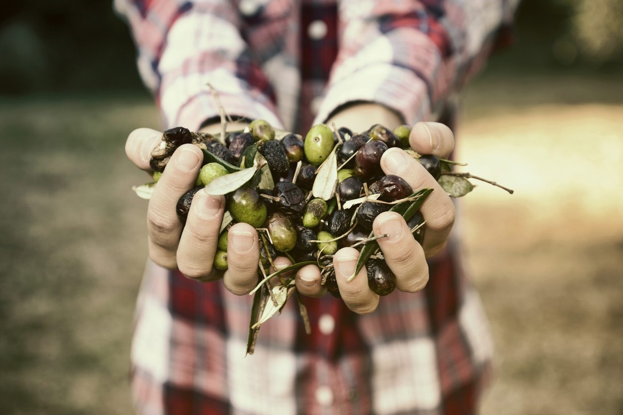 olio extravergine: proprietà e usi