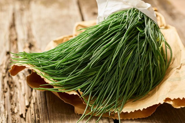 agretti: proprietà, benefici e usi