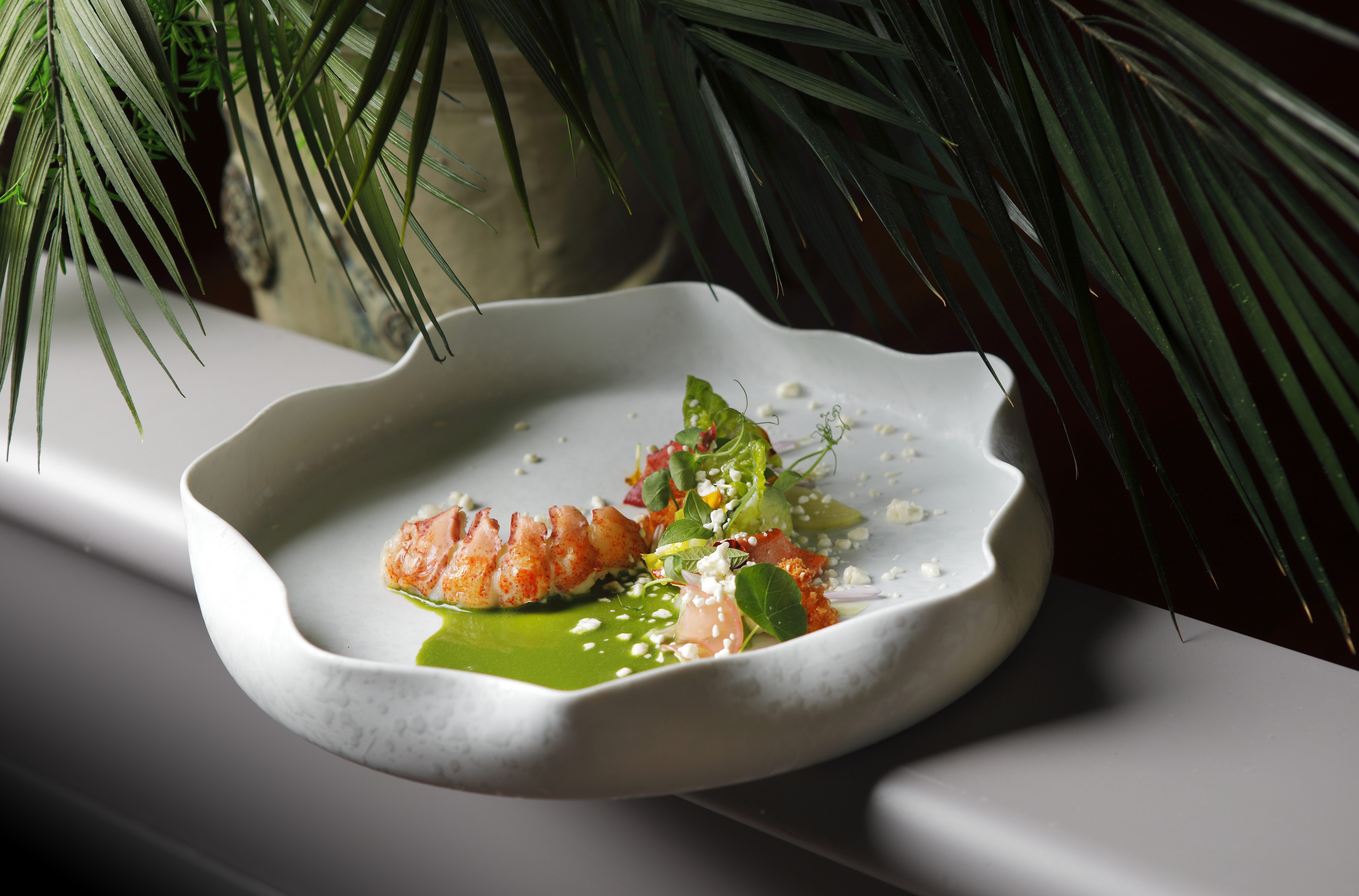 Astice evergreen con pepite di squacquerone