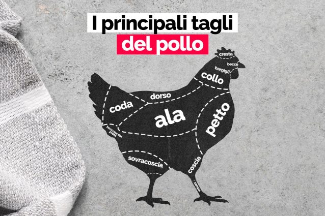 Tagli del pollo: come riconoscere i più comuni tagli di pollo e come cucinarli al meglio