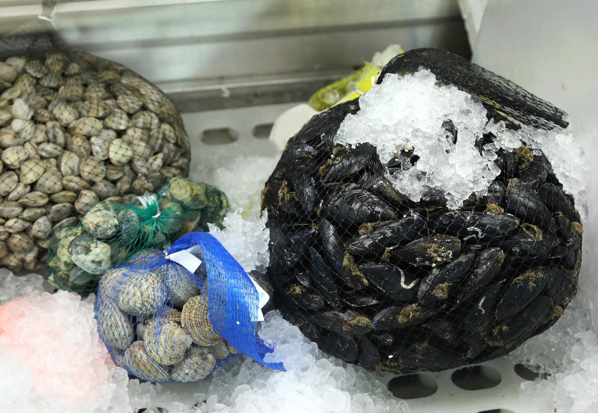 cozze-reti-biodegradabili