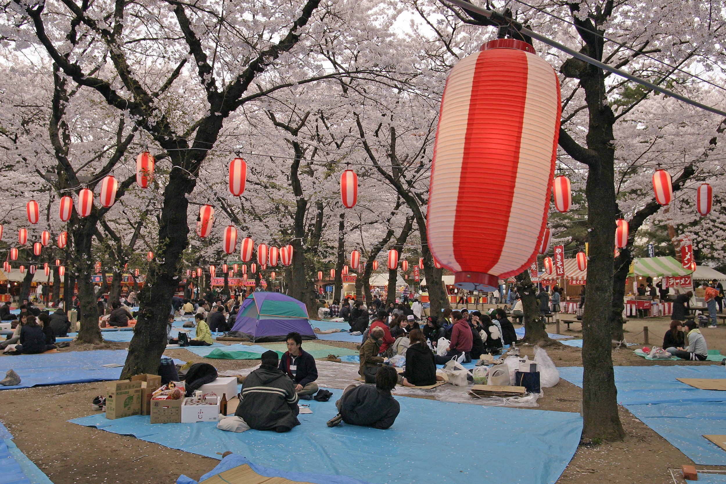 hanami-cosa-si-mangia