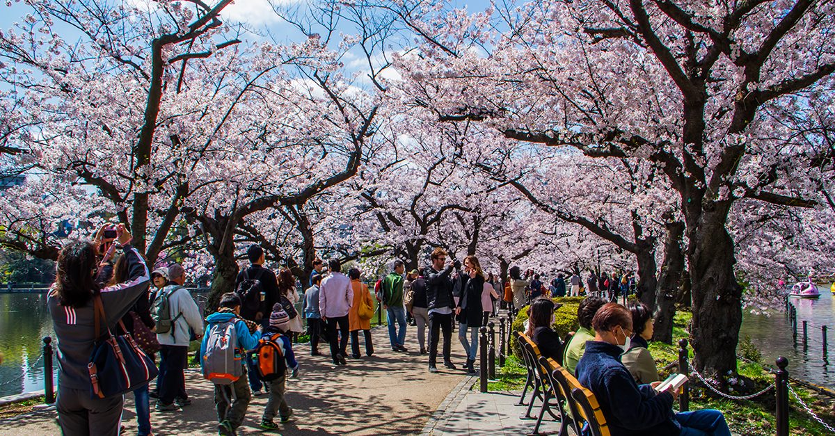 hanami