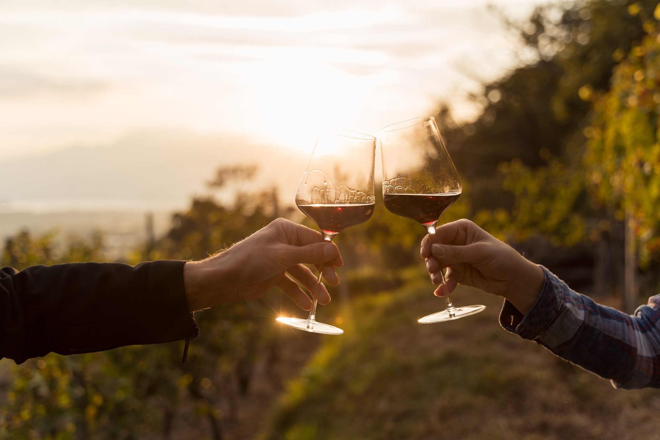 uici-monza-brianza-degustazione-ciechi-sommelier