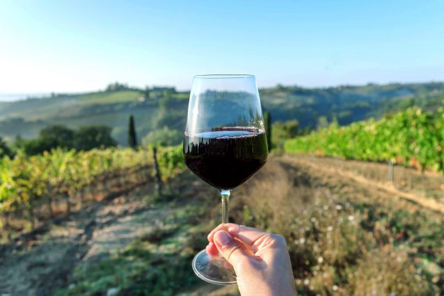 Con B.e.v.i il vino si fa arte: su Sky l'appuntamento dedicato all'enologia italiana