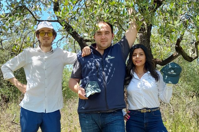 adotta un olivo progetto ager oliva toscana