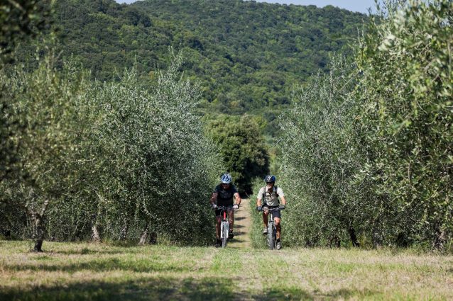 In Umbria il turismo ciclabile fa visita agli ulivi