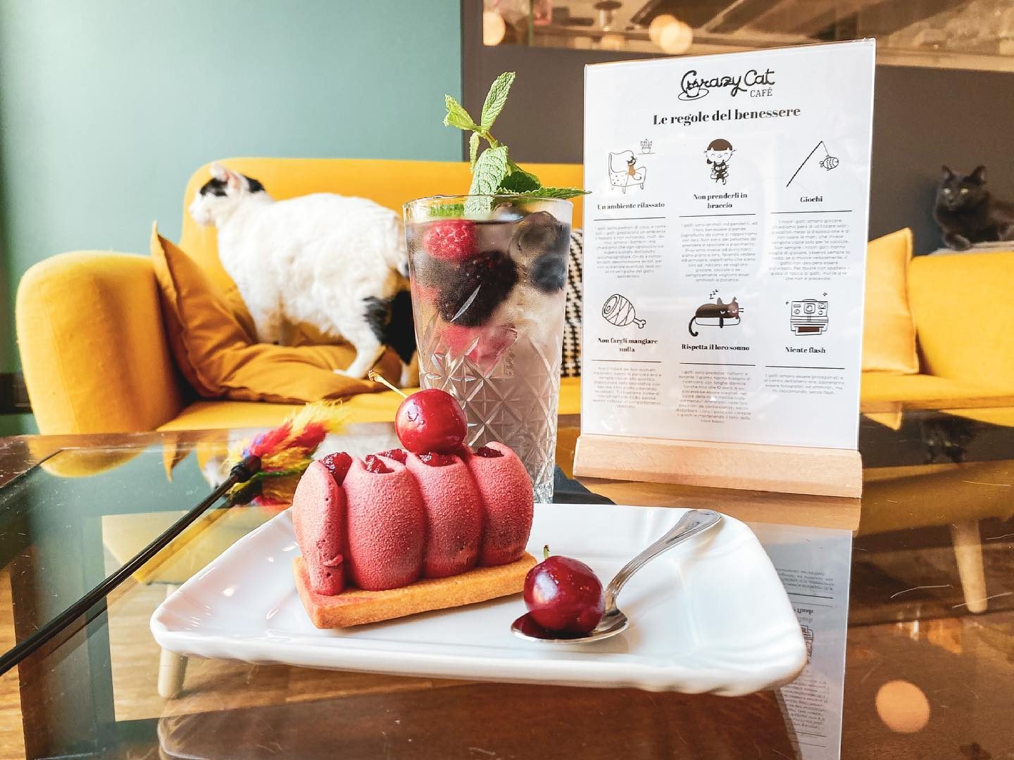 crazy-cat-cafè-recensioni