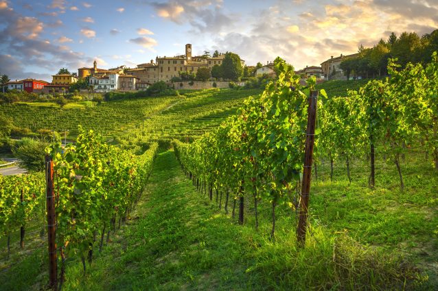 le mani in pasta Piemonte langhe film