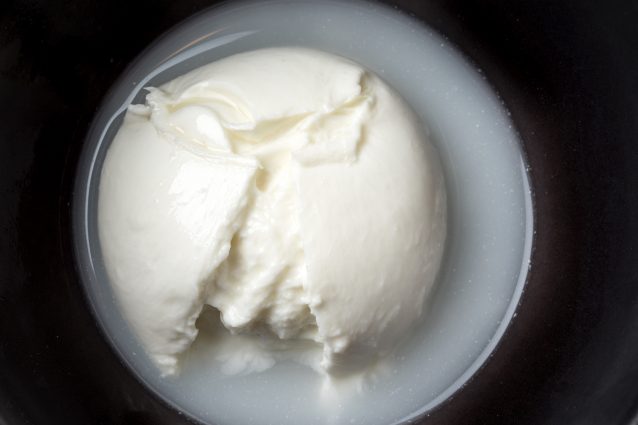 museo mozzarella di bufala Battipaglia