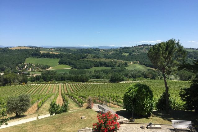cantina Zanchi vigna umbria cosa bere vino