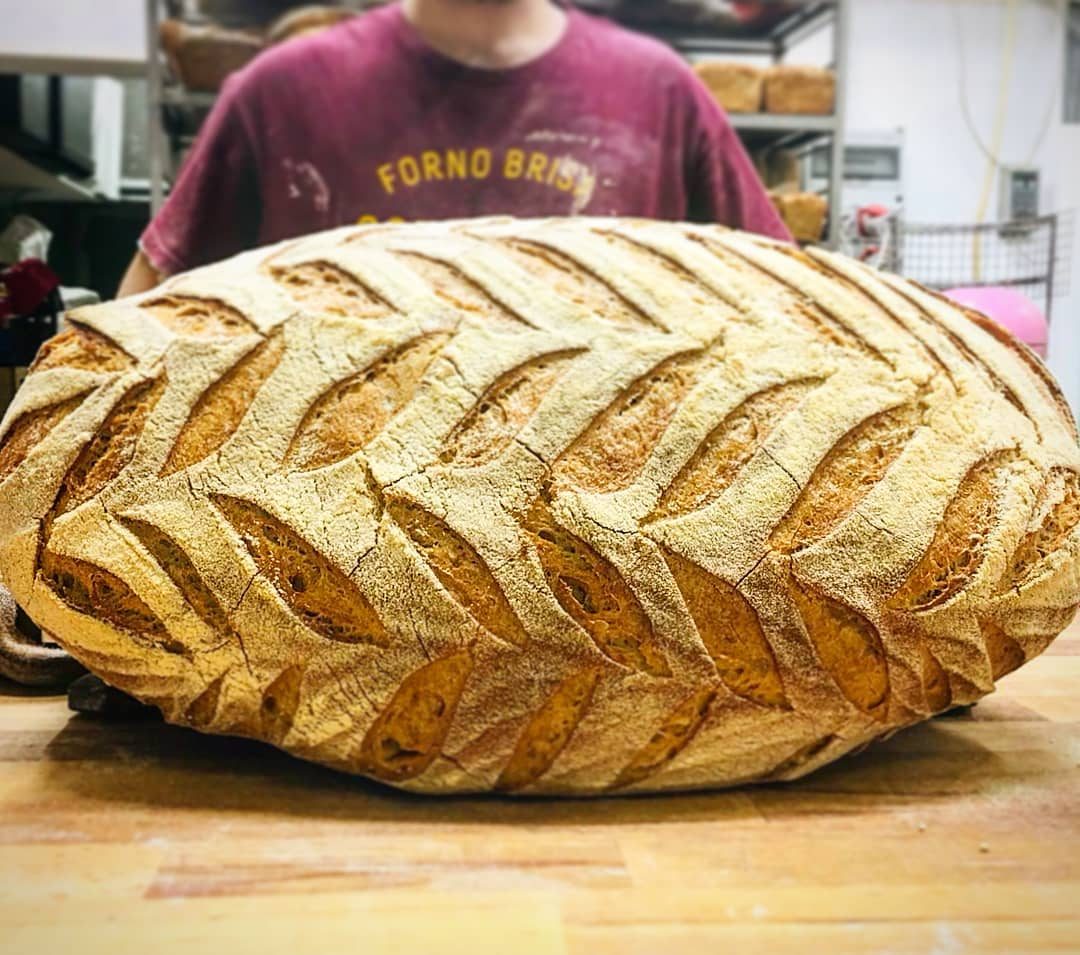 forno-brisa-pane-nuova-apertura