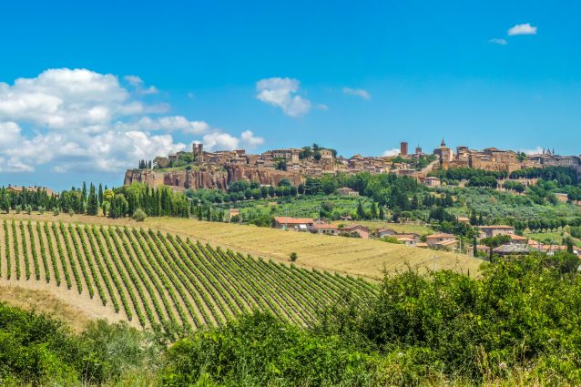 vino orvieto cosa bere umbria