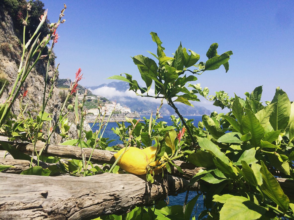 limoni-piatti-tipici-amalfi