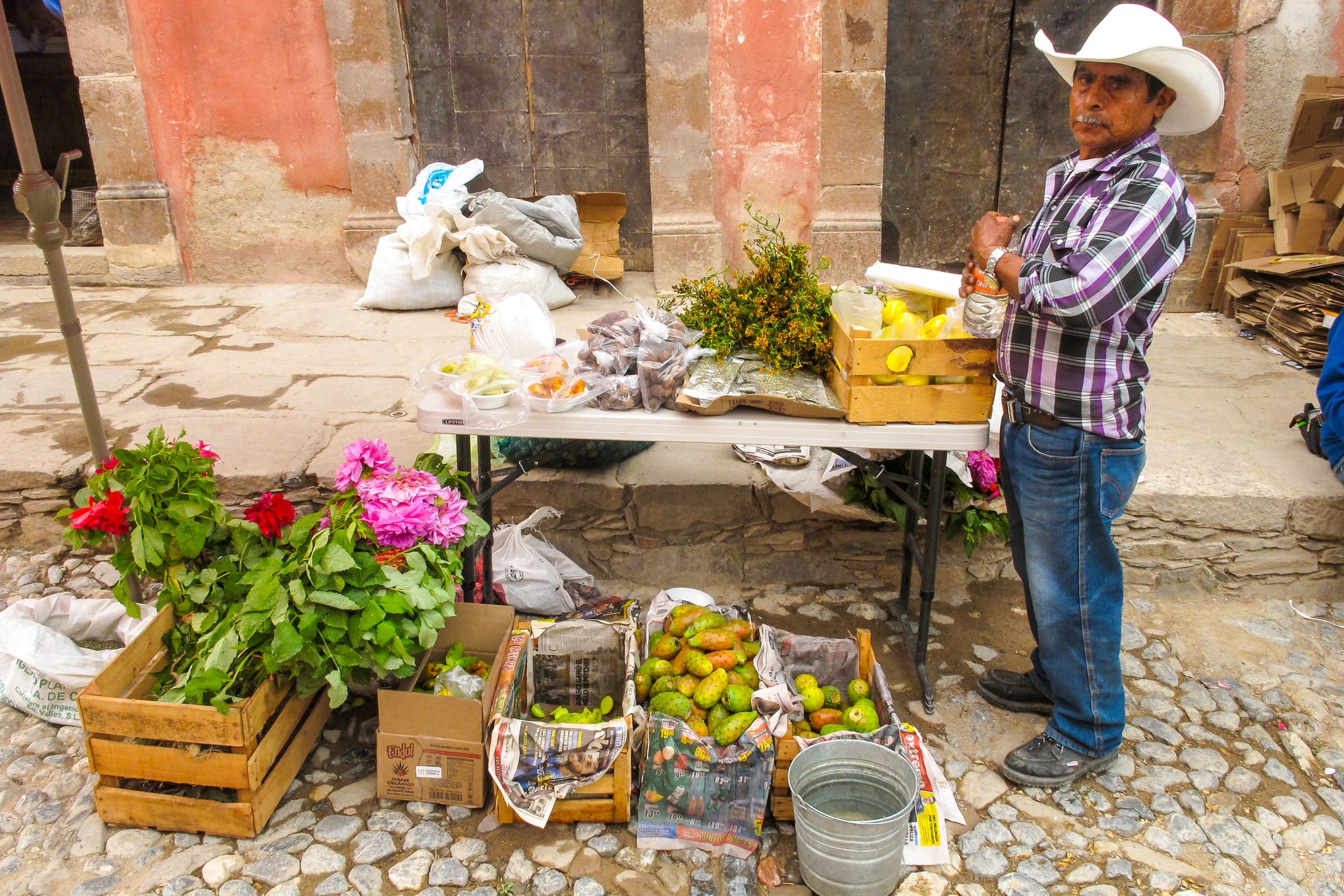 mezcal-come-si-fa