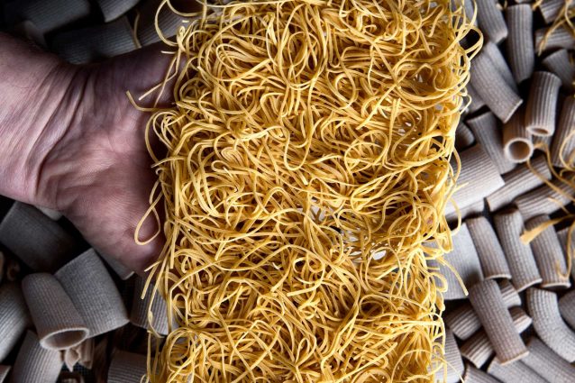 fieno di canapina fanelli pasta