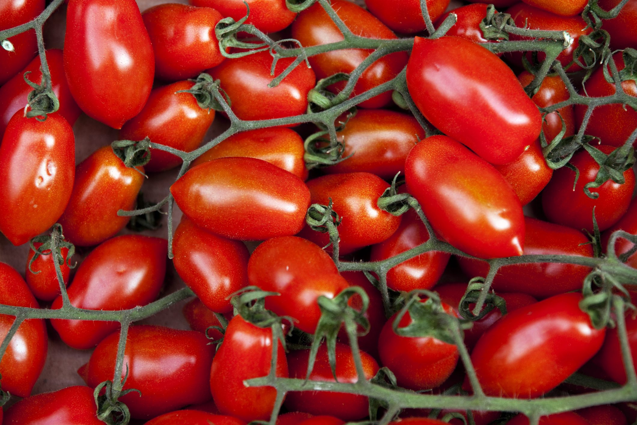 pomodoro-san-marzano