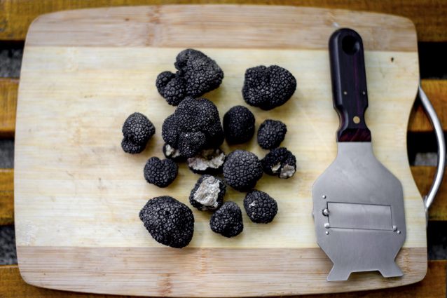 tartufo-nero-estivo