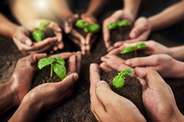 agricoltura terra piante campagna
