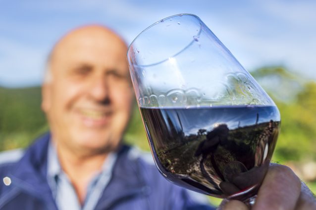 cantine aperte in vendemmia degustazione vino rosso