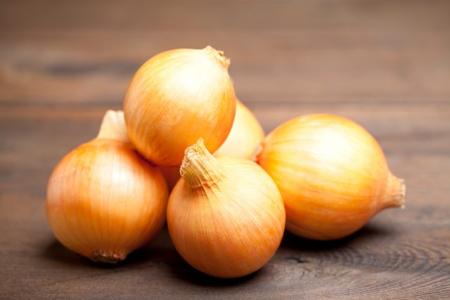 cipolla dorata