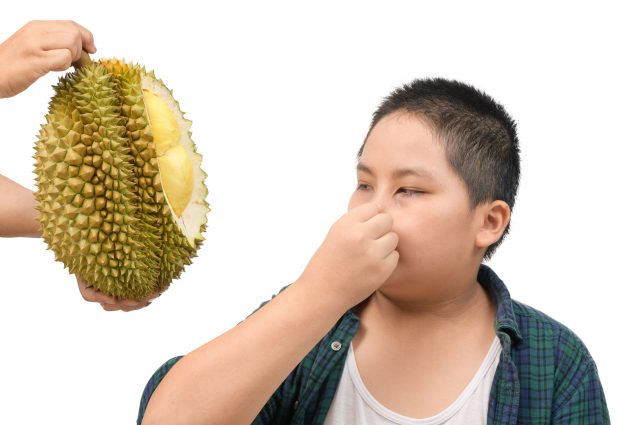durian puzza odore