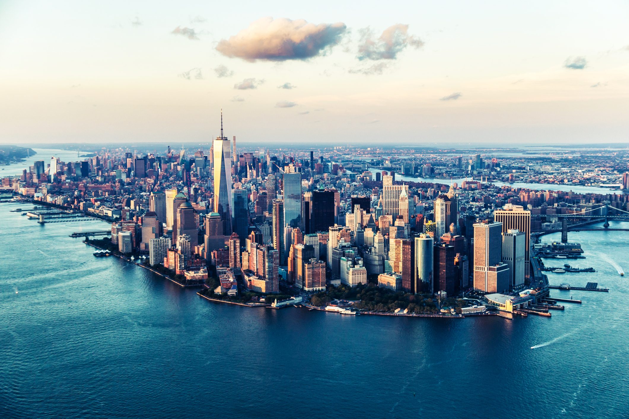 new-york-ostriche