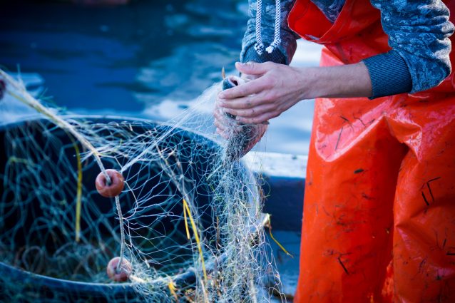 pesca pescatore reti