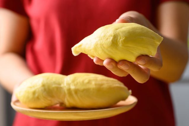 durian polpa