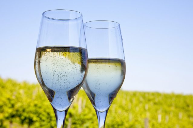 prosecco-prosek-che-succede
