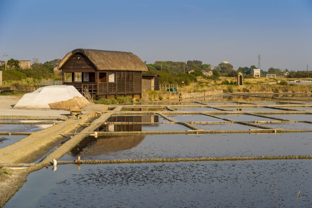 saline di Cervia sapore di sale