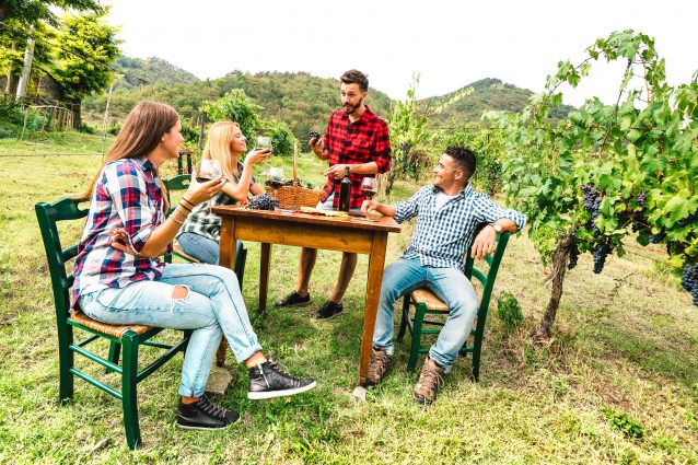 degustazione vino in vigna