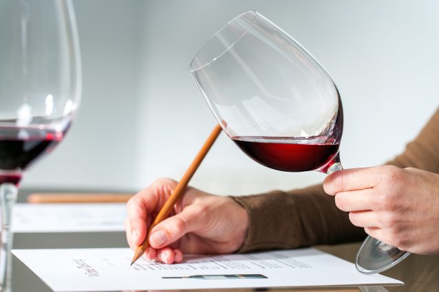 esame vino materia scolastica