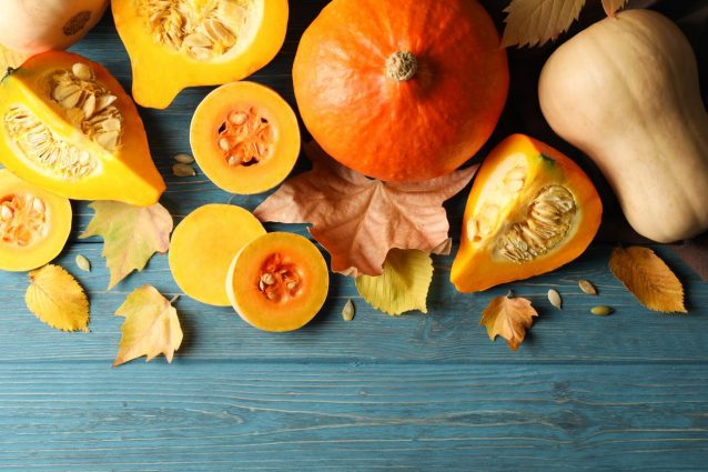 zucca: sceglierla e conservarla