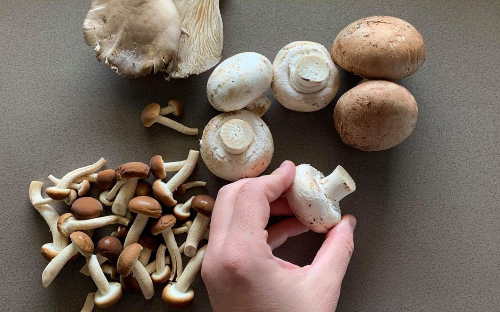 pulire funghi