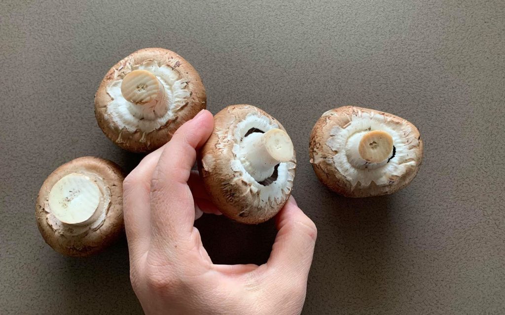 pulire funghi