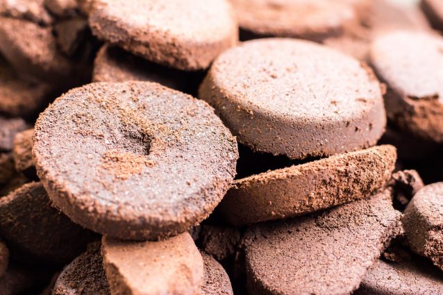 fondi di caffè coltivazione funghi