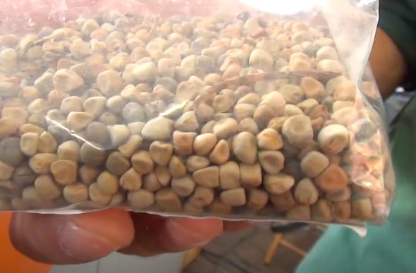 Maracuoccio – Screen video Youtube dal canale Storie Enogastronomiche