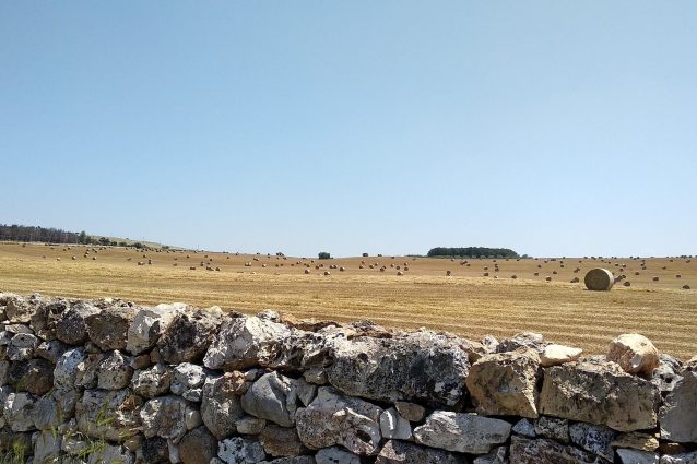 Il territorio delle Murge