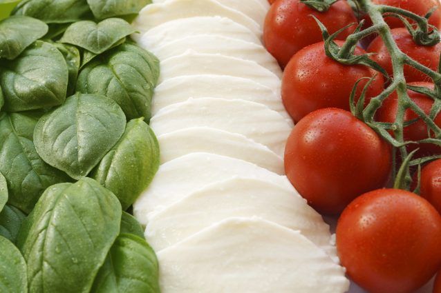 vendita-mozzarella-francia