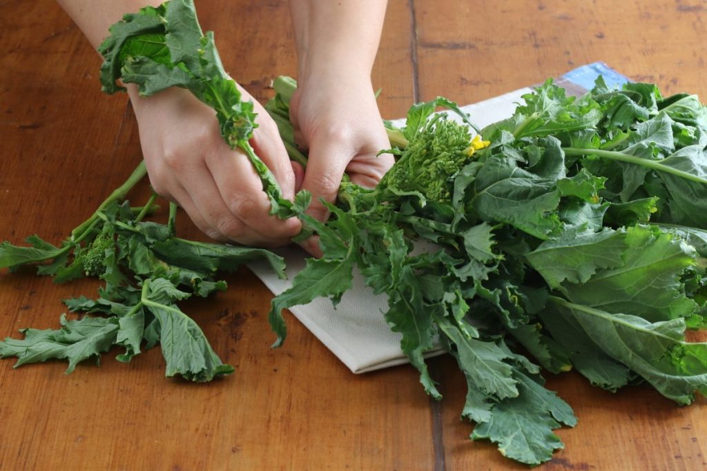 pulire le cime di rapa